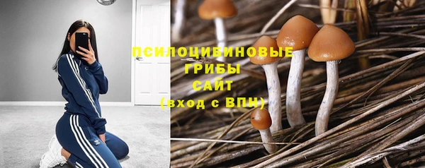 PSILOCYBIN Арсеньев
