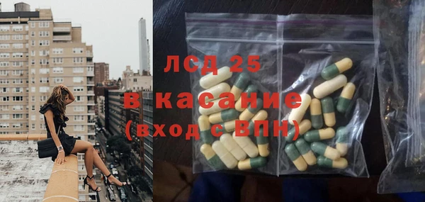 сатива Сатка