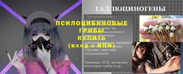 spice Алексин