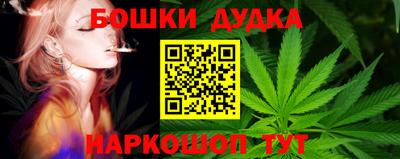 гидра Волжск