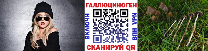 Псилоцибиновые грибы Magic Shrooms  гидра ссылка  Гусев  наркотики 