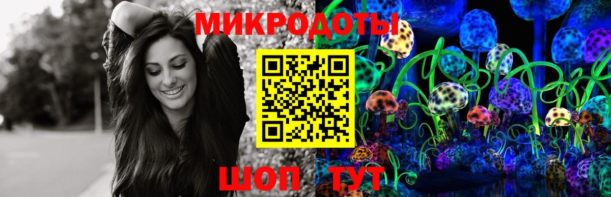 Галлюциногенные грибы мухоморы  Гусев 