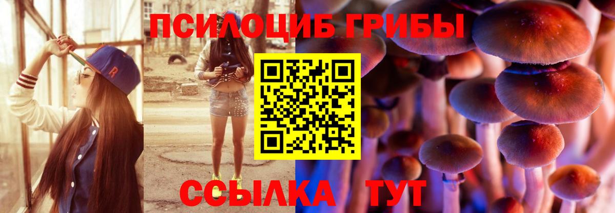 Галлюциногенные грибы Cubensis Гусев